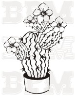 /album/fotogaleria-kvety-stromy/kvety-36-jpg/